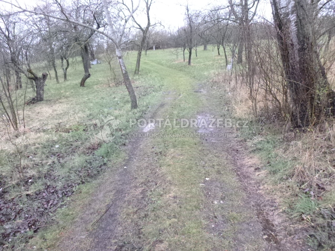 Pozemky v k.ú. Hluk, okr. Uherské Hradiště