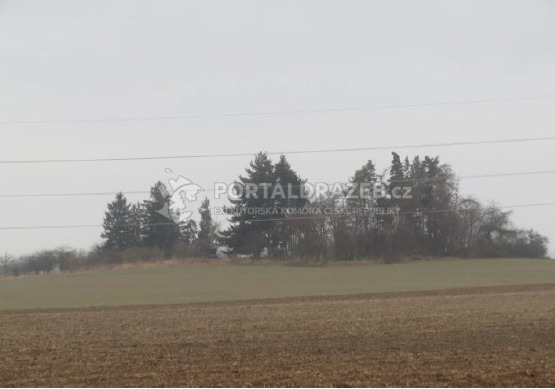 Id. podíl 1/14 na pozemcích v obci Křesetice