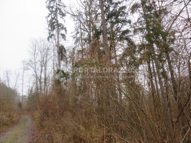 Pozemek o velikosti 707167m2, Kostelec u Zlína,