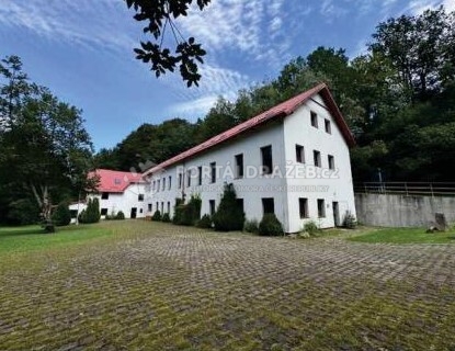 dražba občanské vybavenosti v Benešově nad Černou,