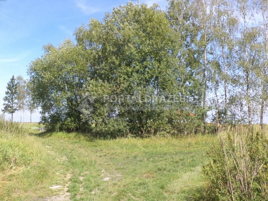 Pozemek o velikosti 620m2, Mladějovice