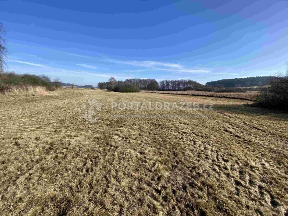 Pozemek o velikosti 10470m2, Kváskovice