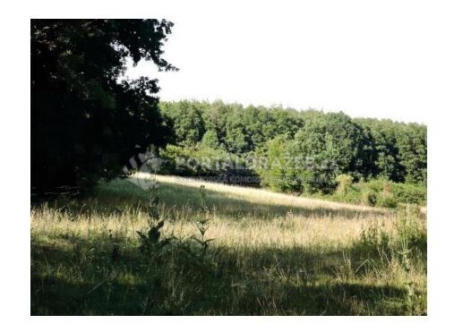 Opakovaná dražba pozemků (1 378 m2) - podíl 1/4, k.ú. Kladná Žilín, obec Luhačovice, okres Zlín