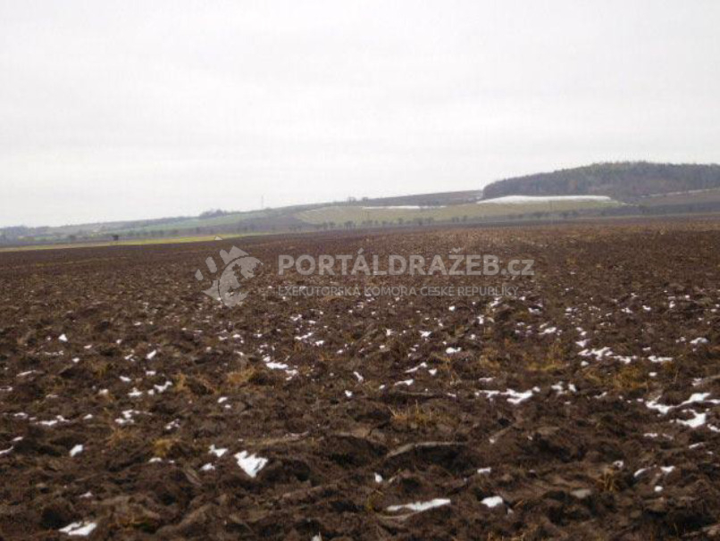 Ideální spoluvlastnický podíl 1/12  pozemku (orná půda) 31071 m2 v k.ú. Hradenín, obec Plaňany, Kolín