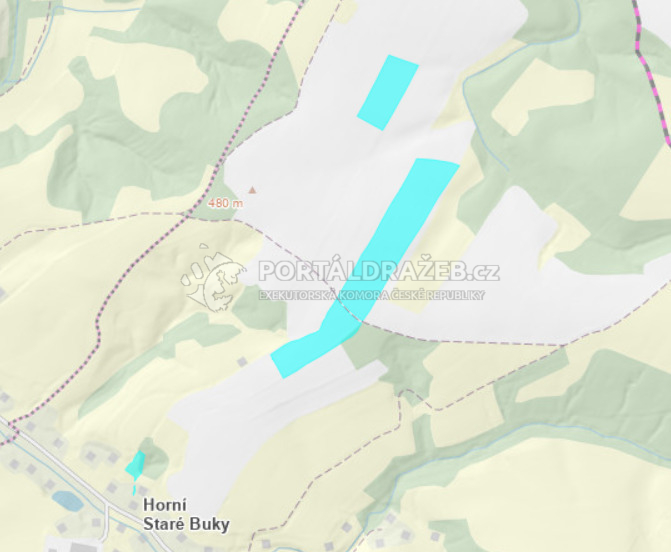 id. 1/20 pozemků v k.ú. Horní Staré Buky, obec Staré Buky, okres Trutnov, opakovaná dražba