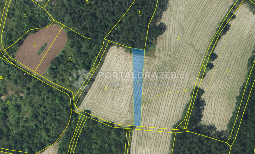 Dražba spoluvlastnického podílu ve výši 1/4 na trvalém travním porostu, Vražkov