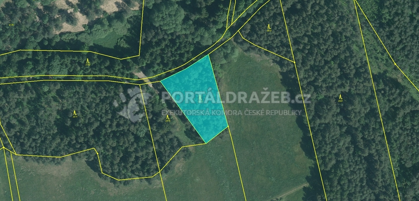 Lesní pozemek 2.770 m2, podíl 1/4, k.ú. Rapšach