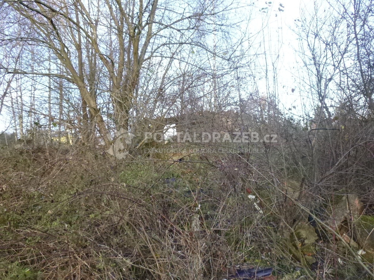 Podíl na pozemcích v k.ú. Studánka u Rumburku,