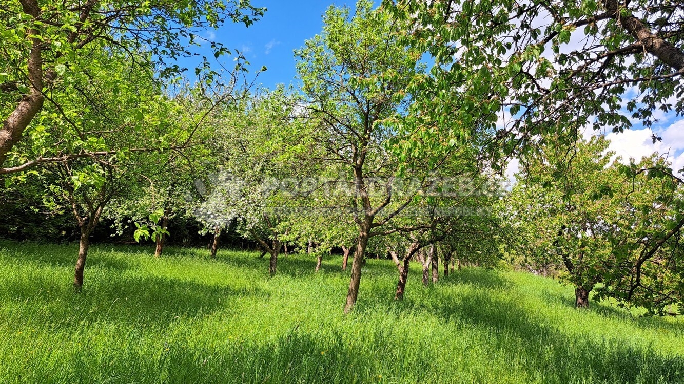 Zahrada v obci Radotín, okres Přerov