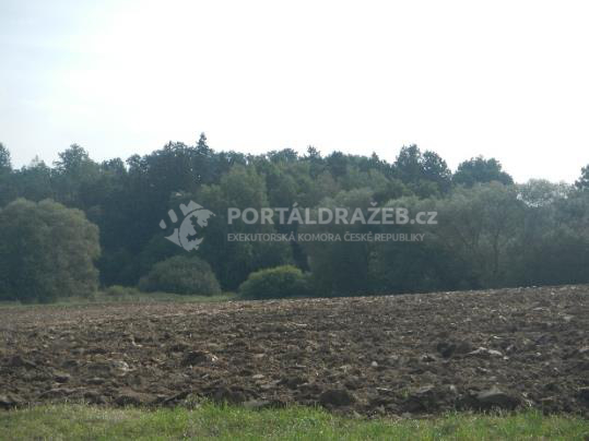 Orná půda a lesní pozemky 21 553 m², Chotýšany u Benešova