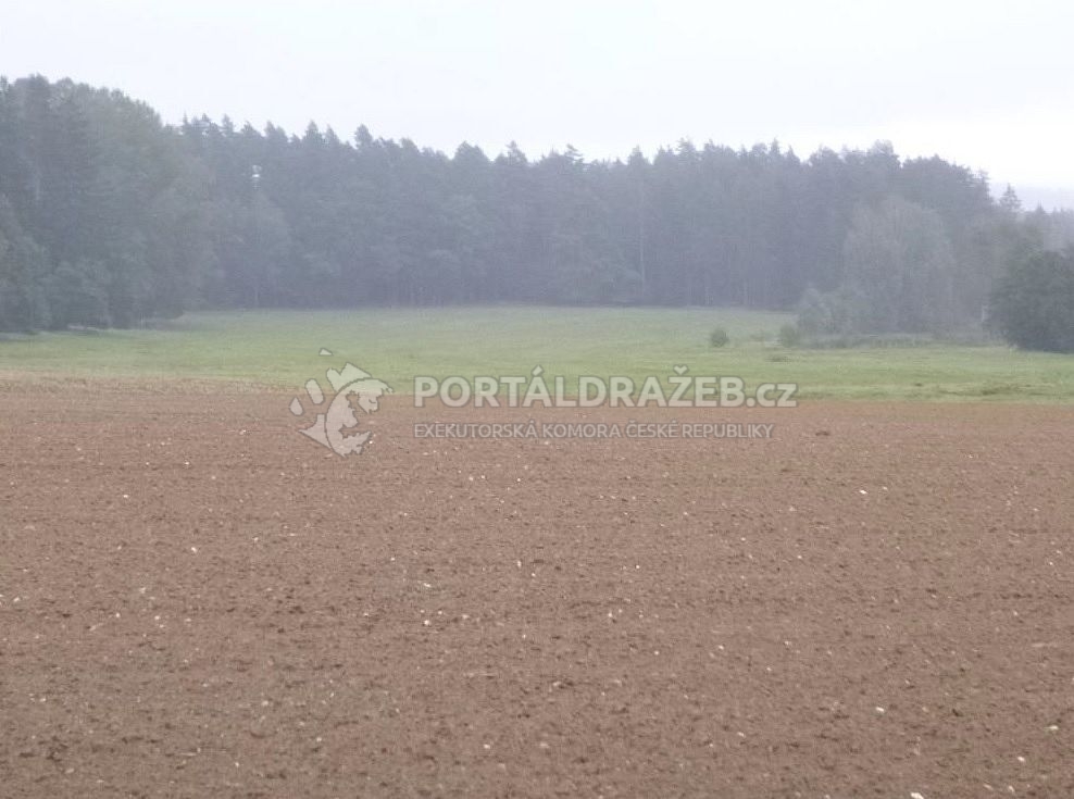 pozemky - orná půda, k.ú. Sedlečko u Chotovin - podíl 1/4