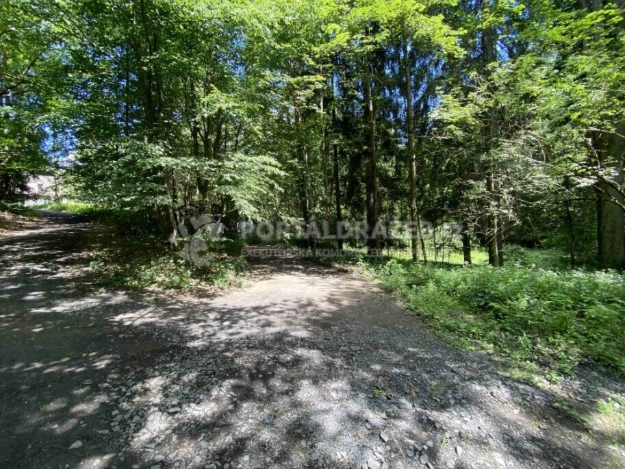 Pozemek o velikosti 19951m2, Dolní Chřibská