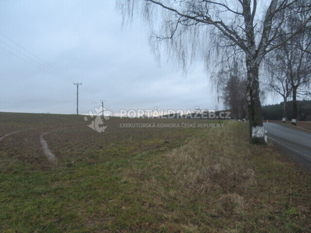 Pozemek o velikosti 10290m2, Pelhřimov, podíl 1/6