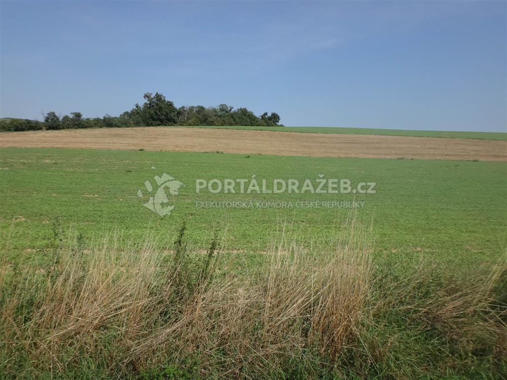 Předmětem dražby je 1/3 pozemku p.č.4518 o výměře 974m2 - orná půda v k.ú. Tupesy na Moravě na LV 896 okres Uherské Hradiště