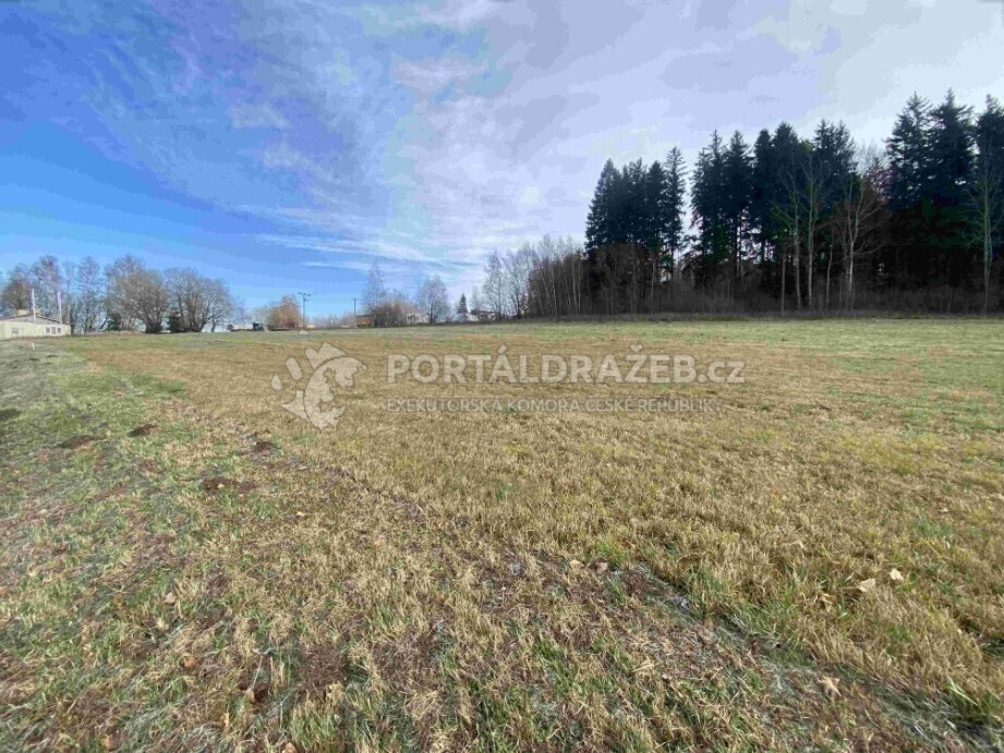 Pozemek o velikosti 3624m2, Černá v Pošumaví