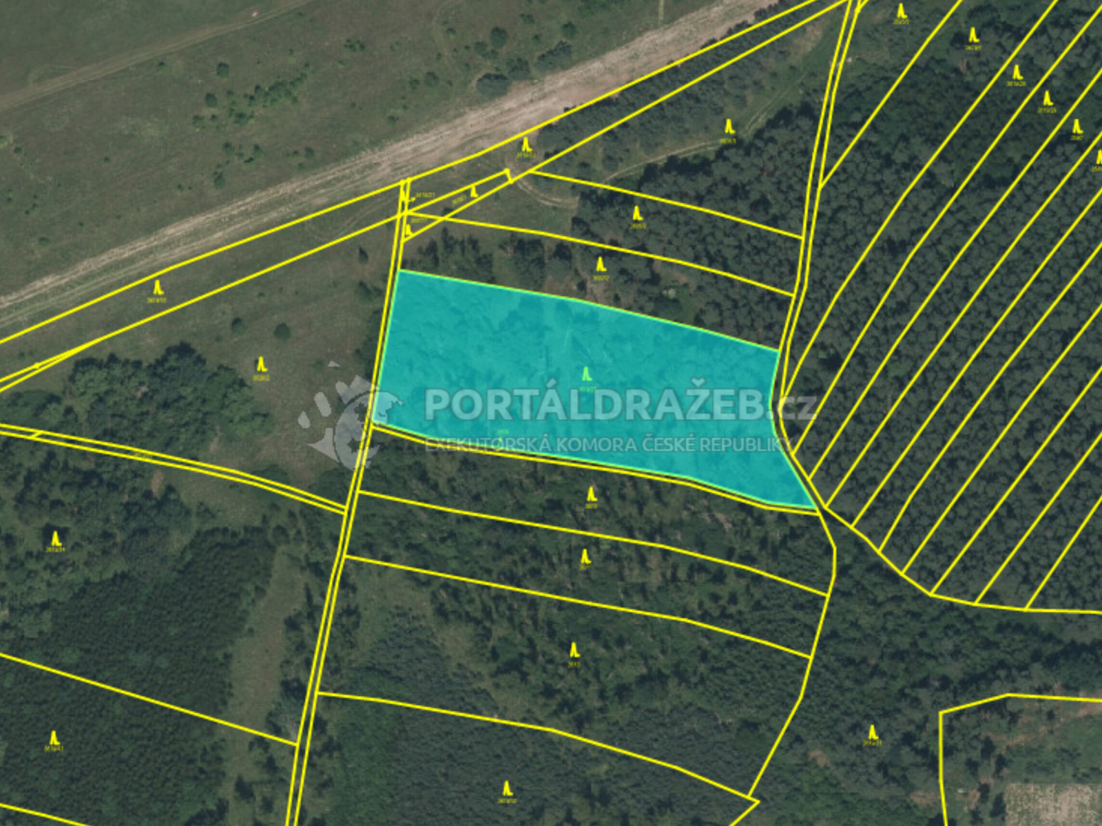 Podíl na lesním pozemku u města Dobřany, okres Plzeň-jih