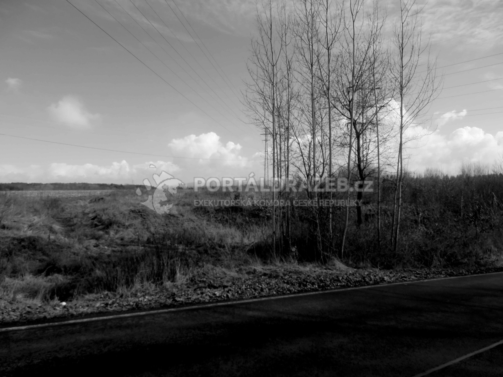 Pozemek parc. č. 294/3 v k. ú. Dasnice, okres Sokolov