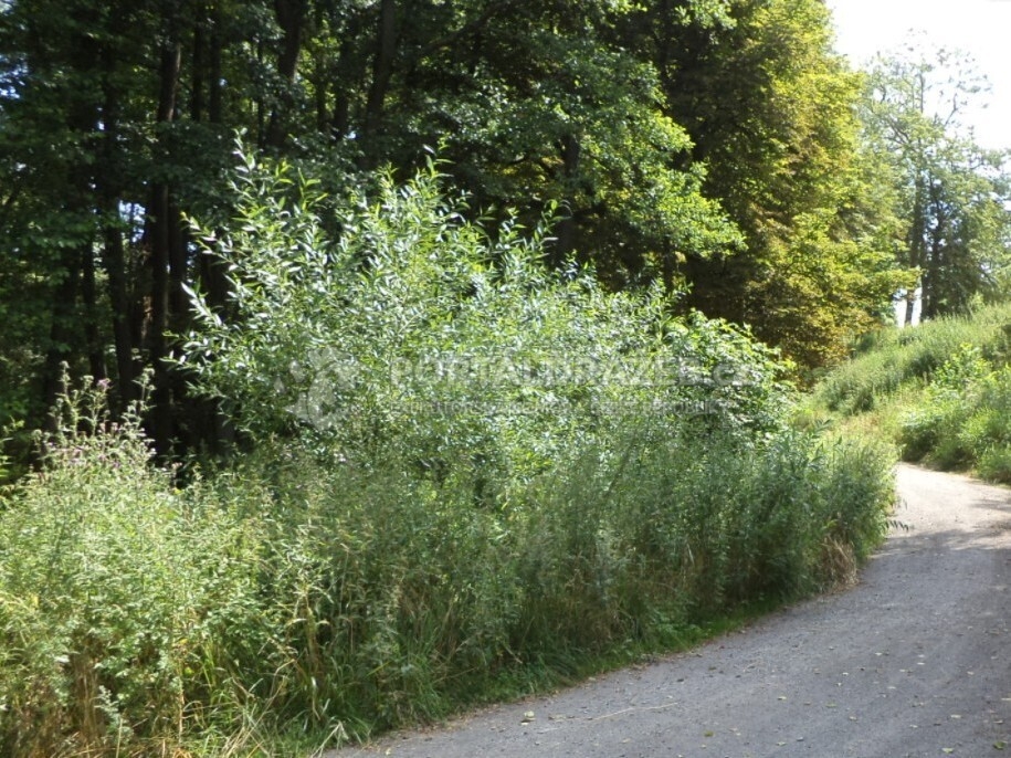 Pozemek o velikosti 1046m2, Nahý Újezdec