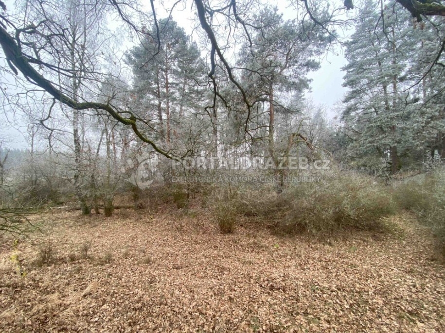 Pozemek o velikosti 13059m2, Slatina u Horažďovic