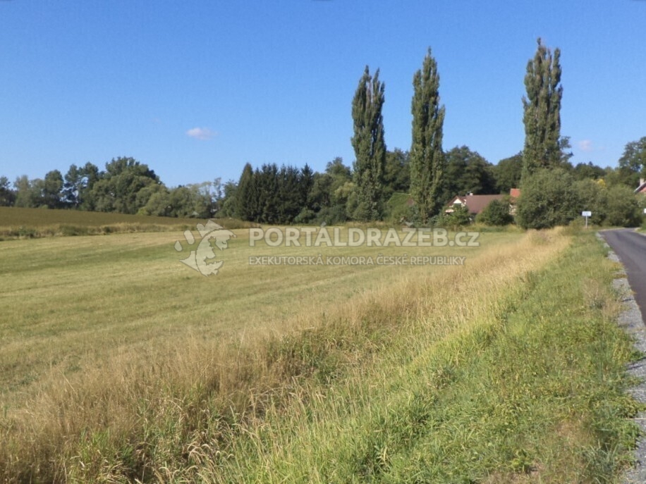 Pozemek o velikosti 2383m2, Medná