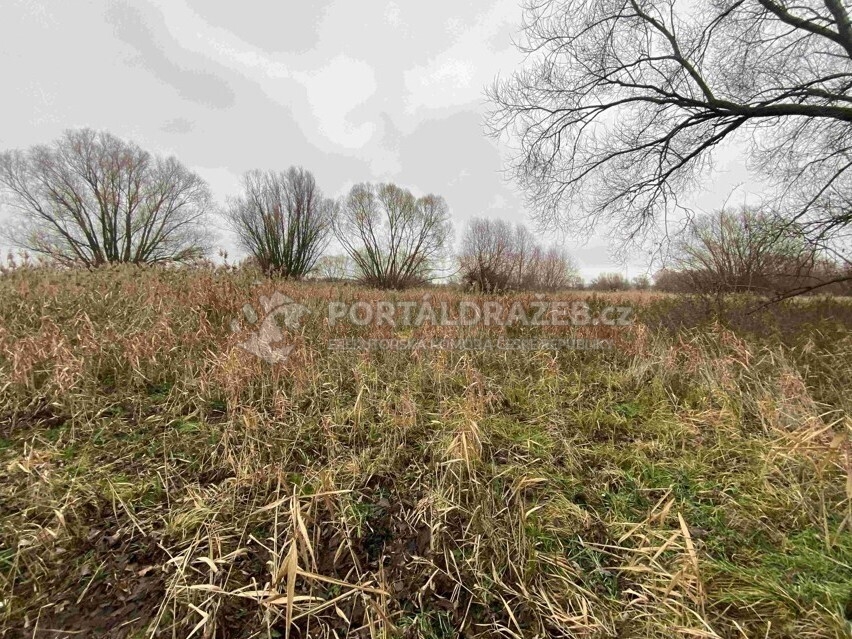Pozemek o velikosti 4103m2, Křenovice u Kojetína