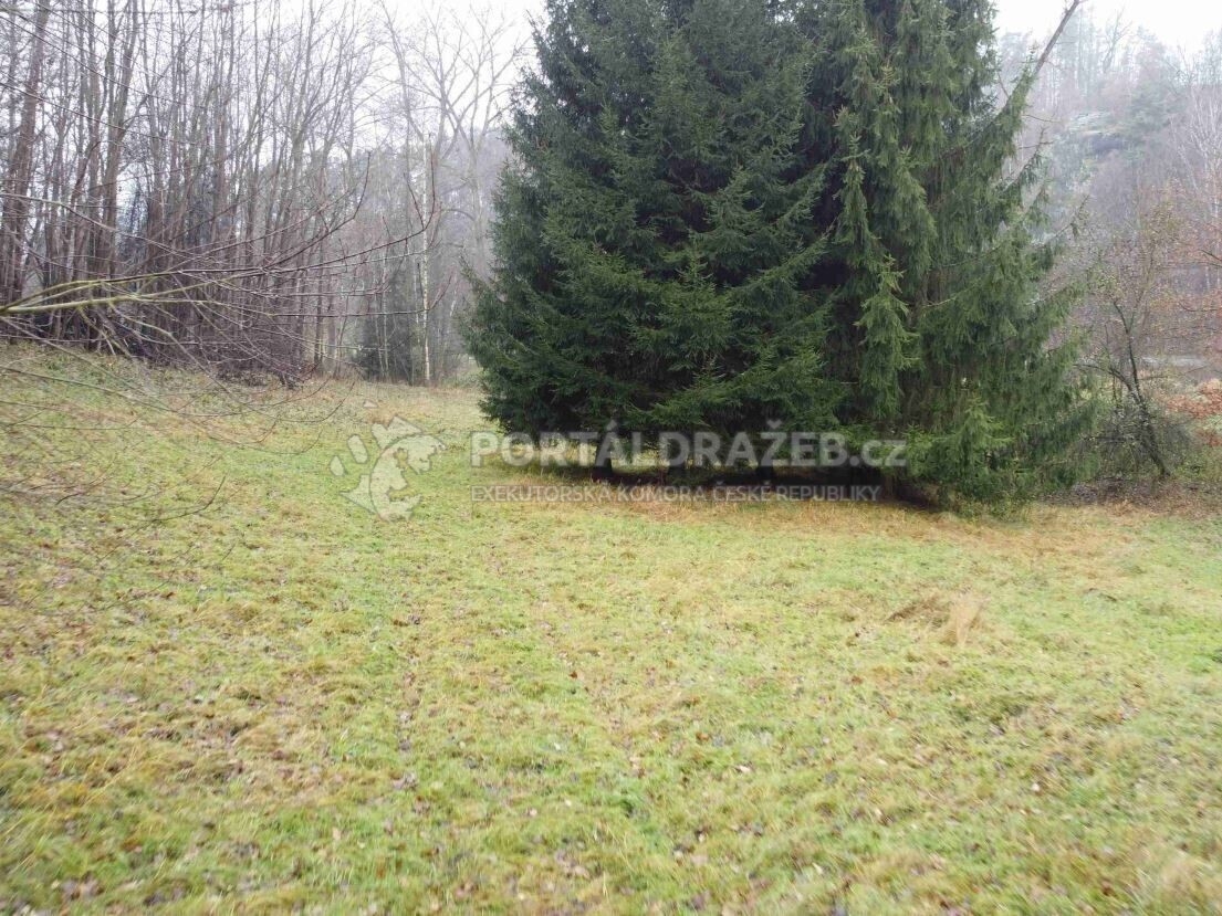 Pozemek o velikosti 8621m2, Světlá nad Sázavou