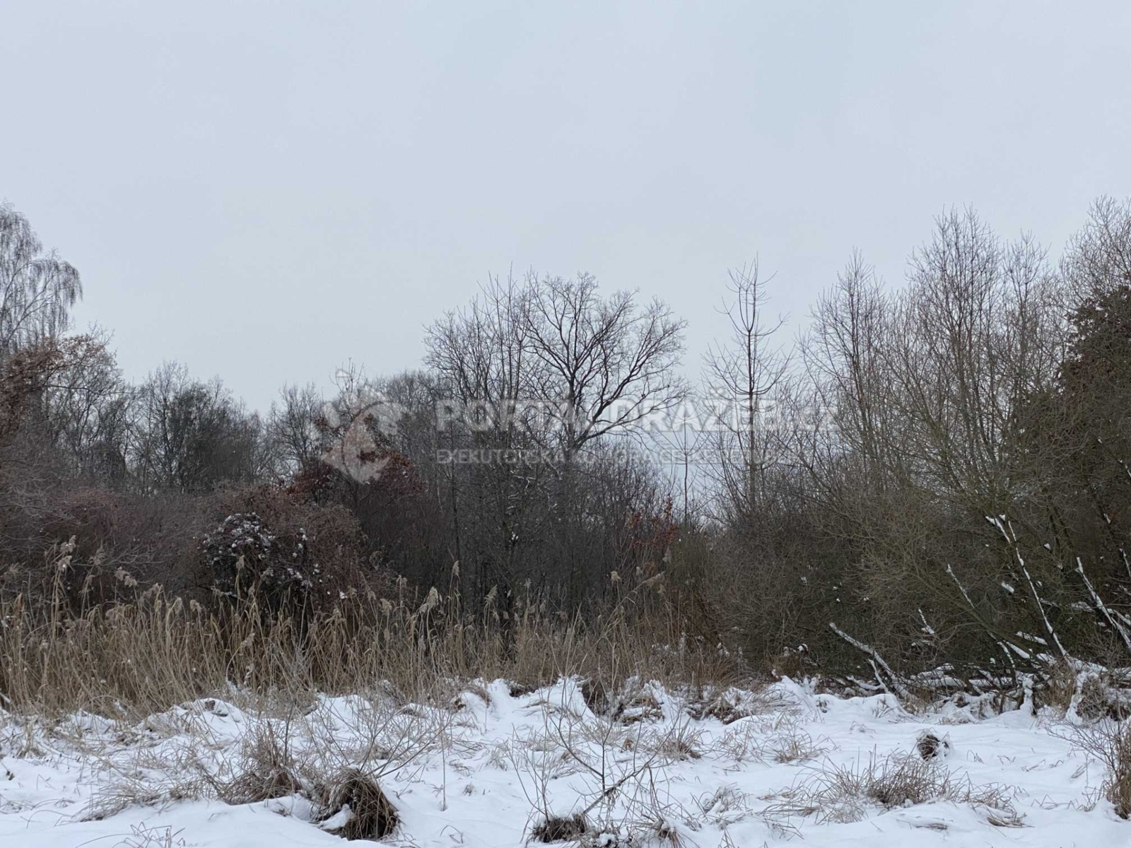 Pozemek v obci Káraný (okres Praha-východ) -