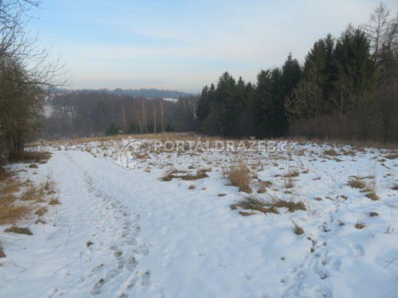 Soubor pozemků na LV 2171 a podíl 1/3 pozemku na LV 2174, vše v k.ú. Dolní Žukov, Český Těšín