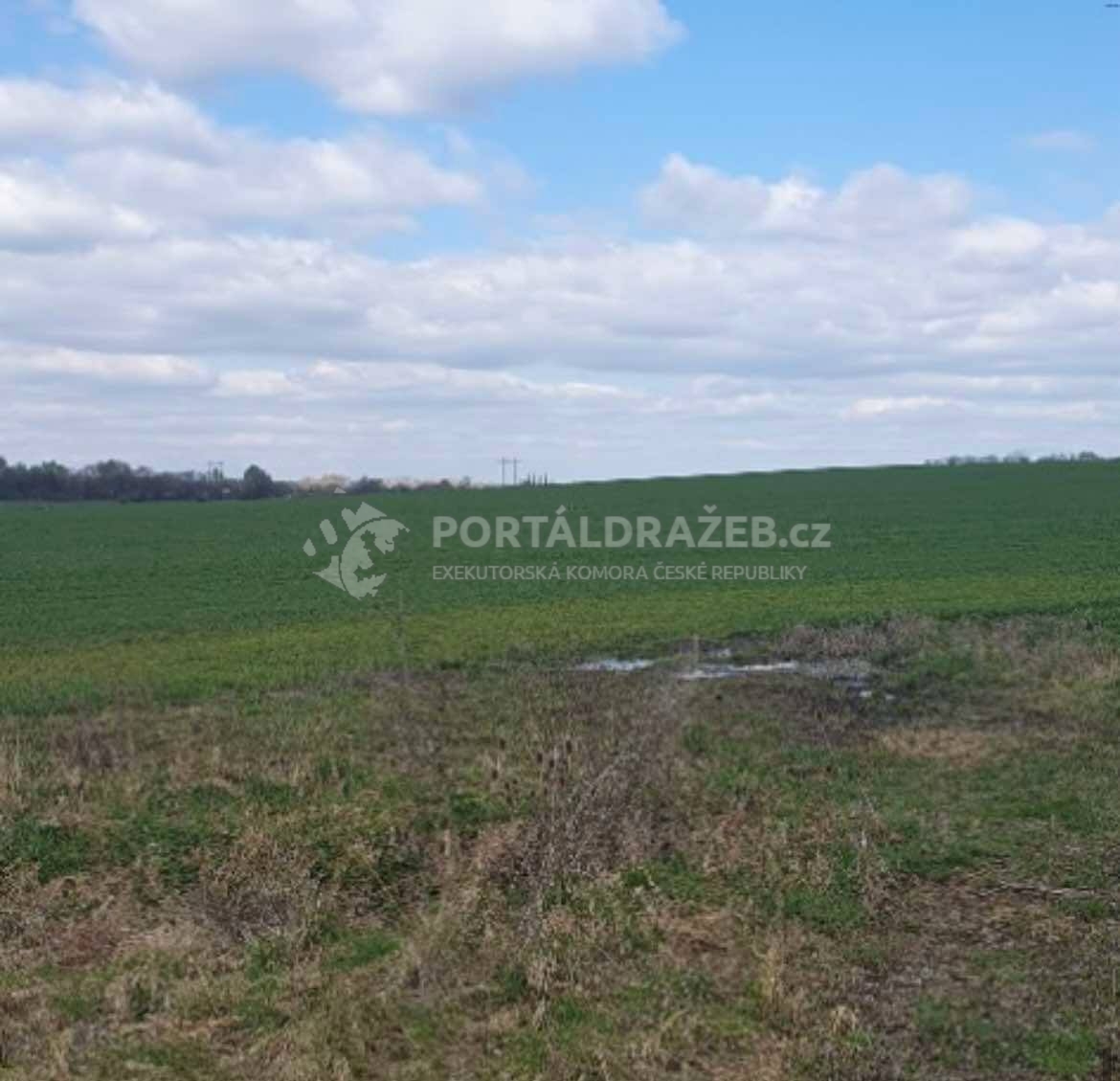 Dražba spoluvlastnického podílu ve výši 1/4 na