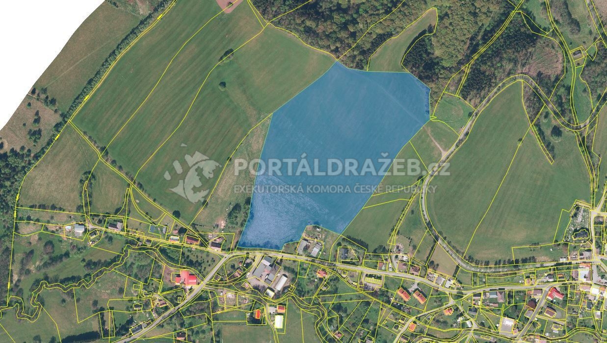 Dražba podílu id. 1/2 na pozemku v obci Olešnice v Orlických horách, okres Rychnov nad Kněžnou
