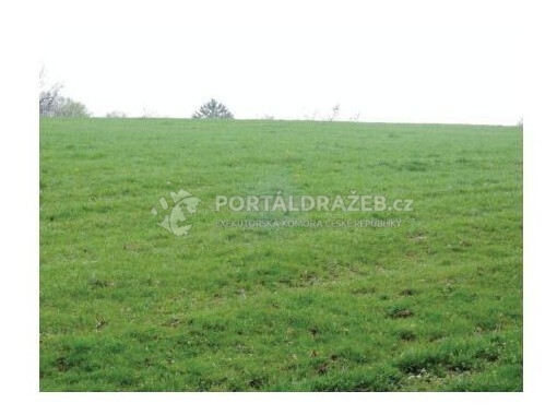Dražba lesního pozemku (6954 m2) - id. podíl 1/4 v k.ú. Kladná Žilín, obec Luhačovice, okres Zlín