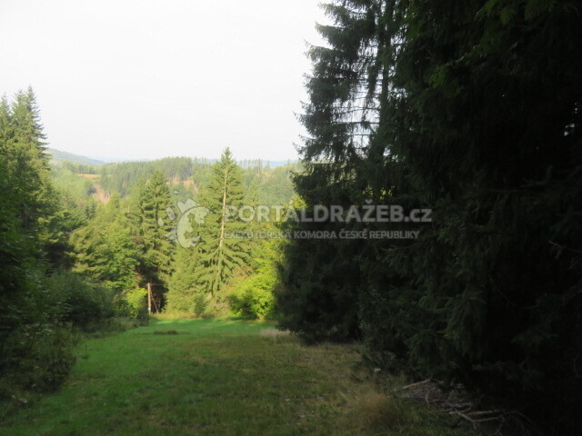 Podíl 2/3 pozemků Stromkovice (Semily)