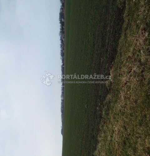Zemědělský pozemek Šilheřovice 6 280 m2