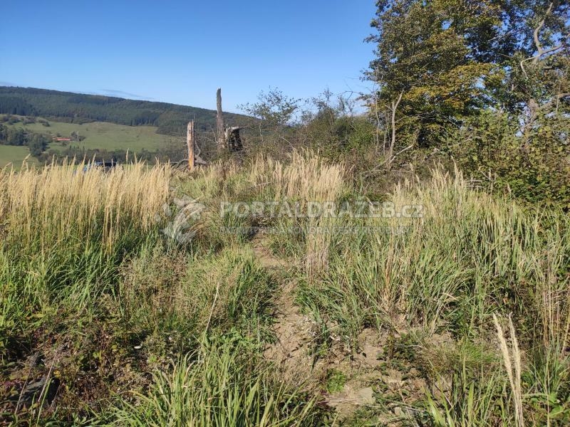Lesní pozemek o výměře 3142 m2 v k.ú. Březová u Uherského Brodu, obec Březová, Uherské Hradiště
