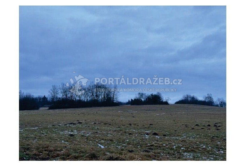 1/21 pozemků v obci Nadějkov, okres Tábor