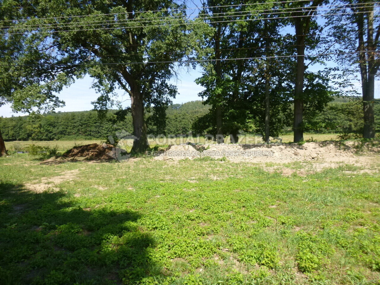 Podíl na pozemcích v k.ú. Třebýcina, okr. Klatovy