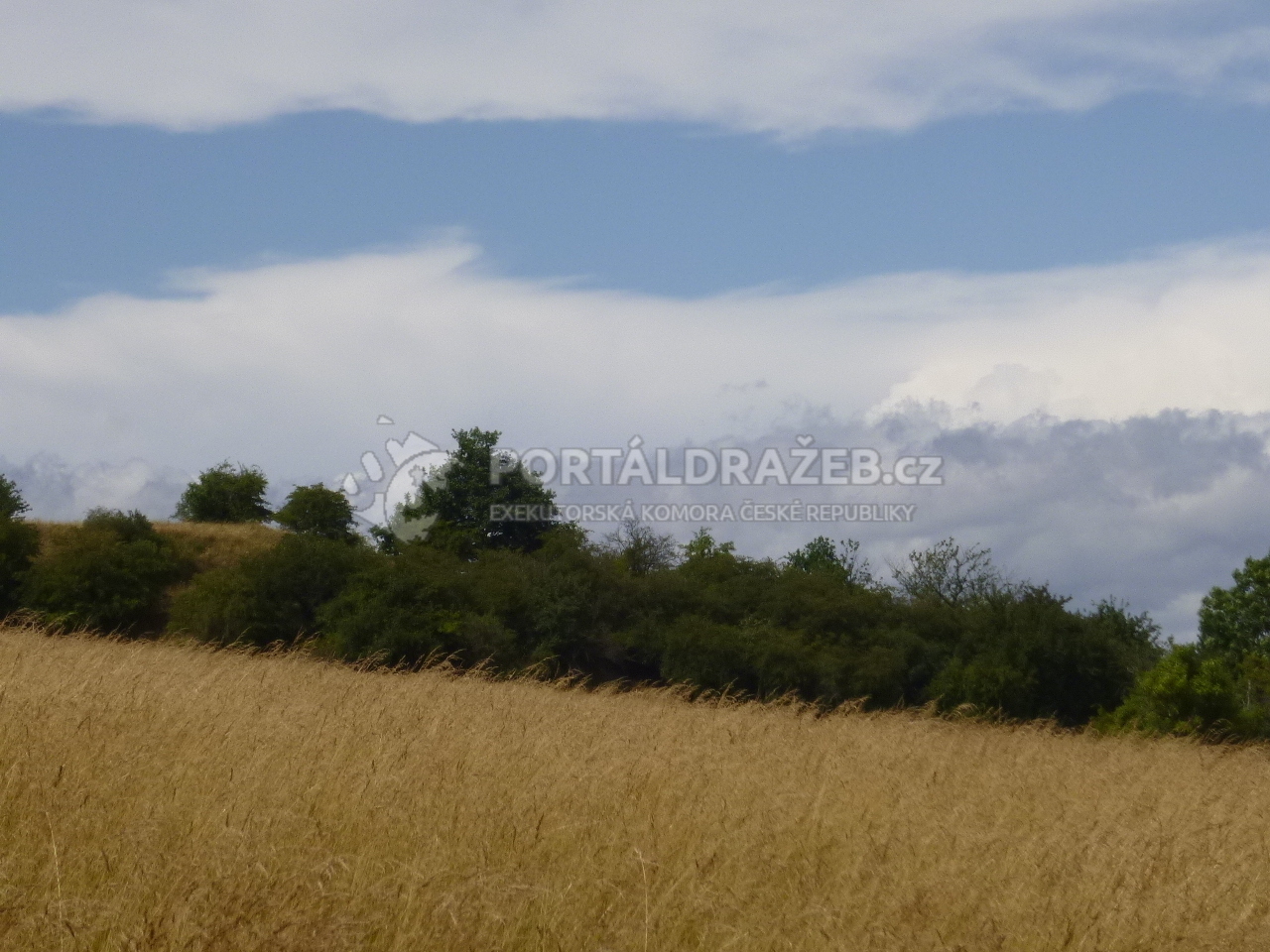 Pozemek v k.ú. Hořenec, okres Louny