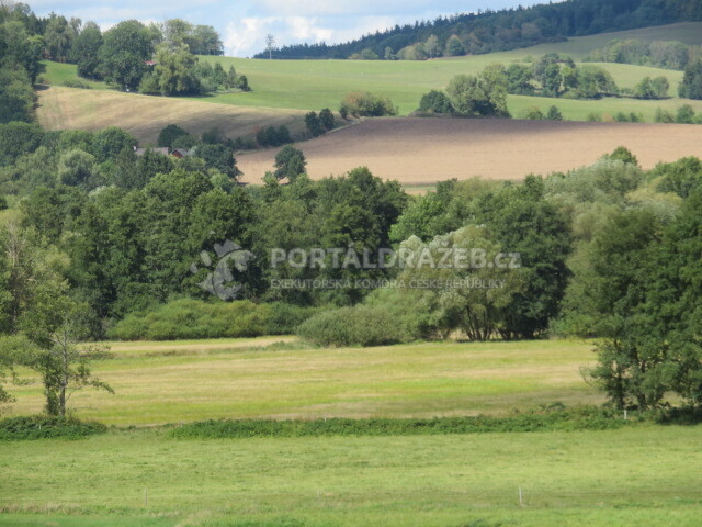 podíl 1/20 pozemků v k.ú. Petrovice nad Úhlavou,