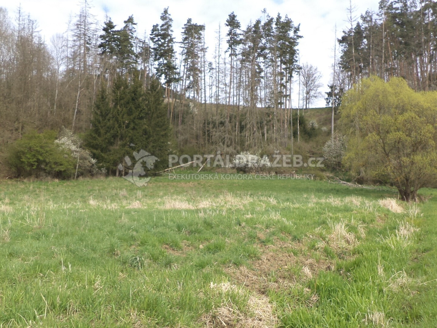 Pozemek o velikosti 2759m2, Lipová