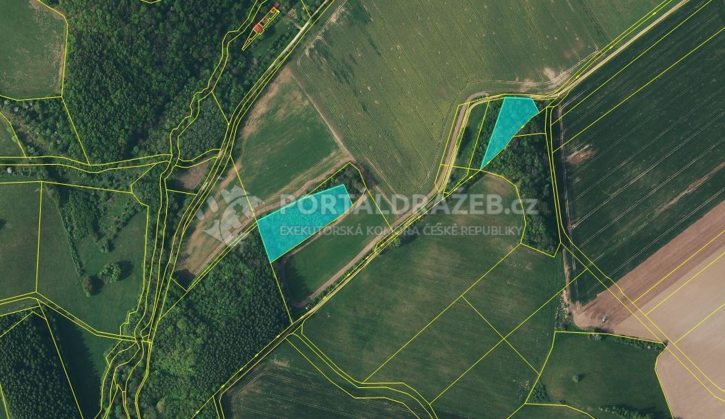 Dražba podílu id. 8/24 na lesních pozemcích v obci Javorník, okres Jeseník