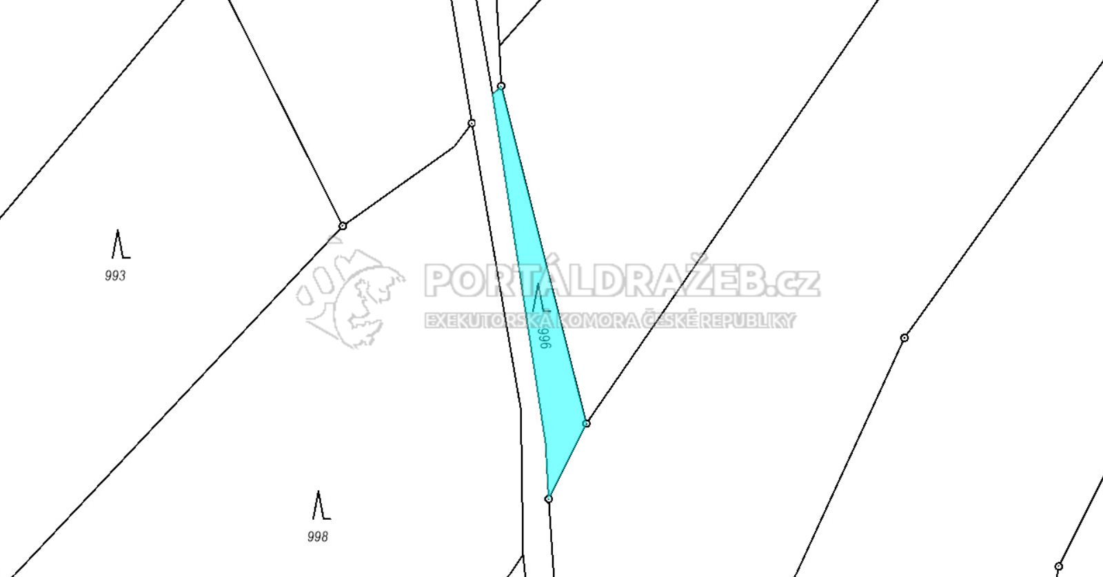 lesní pozemek v k.ú. Doly, obec Luže, okres Chrudim, opakovaná dražba