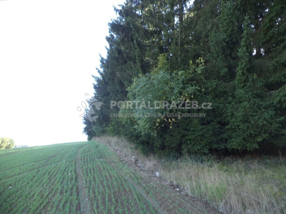 Pozemek o velikosti 2385m2, Klatovy