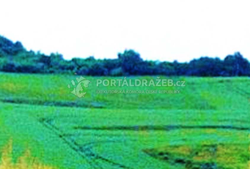 Zemědělské pozemky v k. ú. Vítovice, obec Rousínov, podíl 1/4