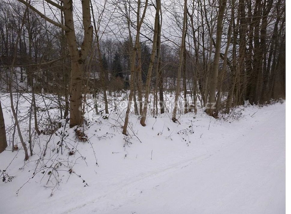 Dražba podílu ideální 1/4 pozemků o celkové výměře 1728 m2, v obci Čeladná, okres Frýdek-Místek, KÚ Čeladná