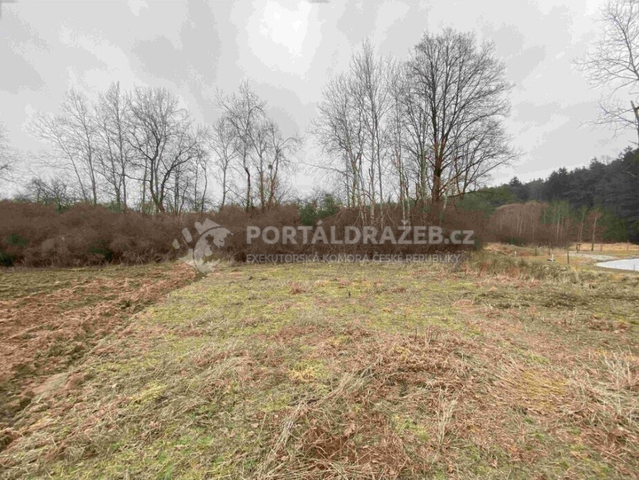 Pozemek o velikosti 2121m2, Albrechtice