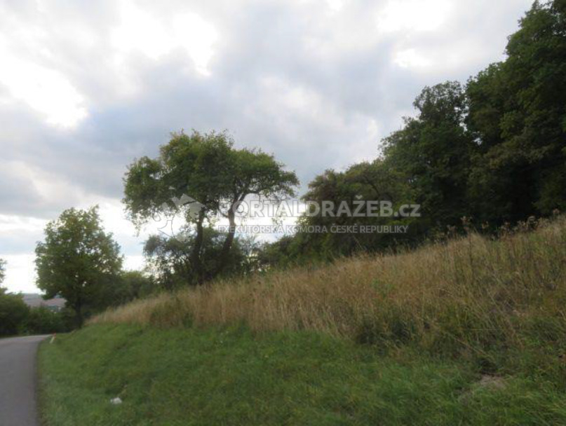 Ideální spoluvlastnický podíl  3/8 pozemku o