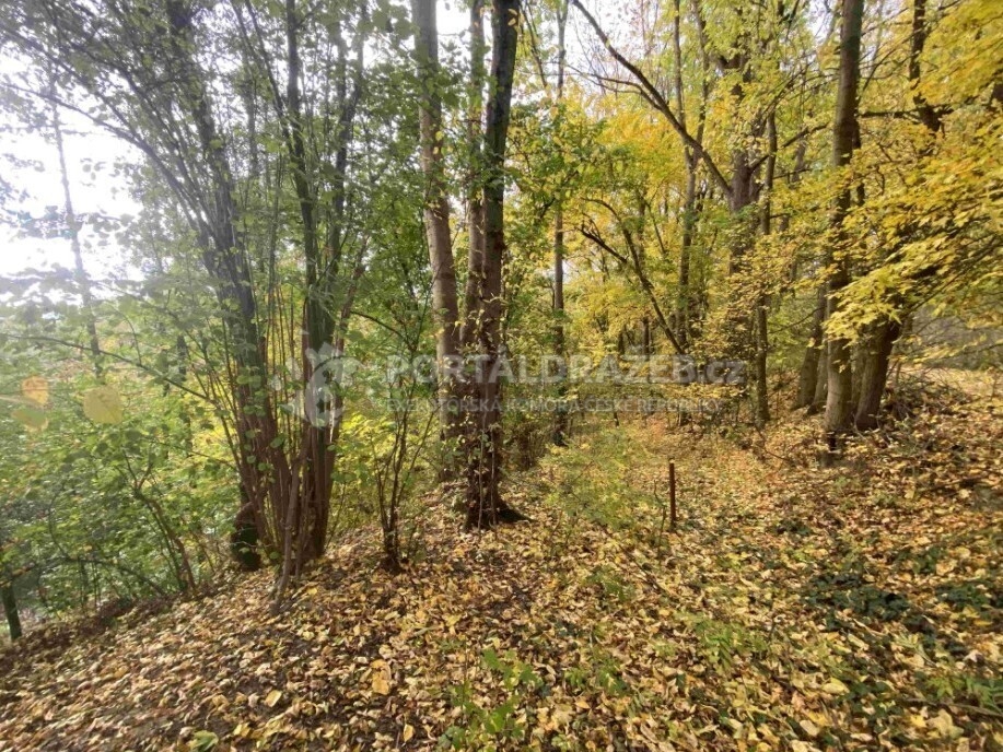 Pozemek o velikosti 2639m2, Svijany