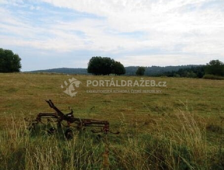 podíl 1/2 pozemku v k.ú. Lesná u Tachova, okres