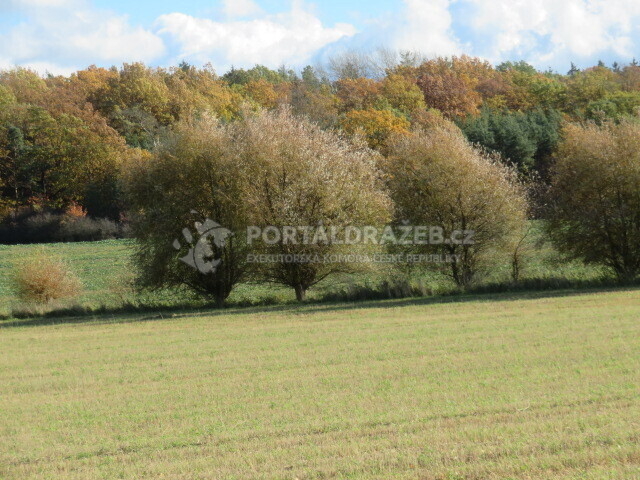 Pozemek o velikosti 9691m2, Vejprnice