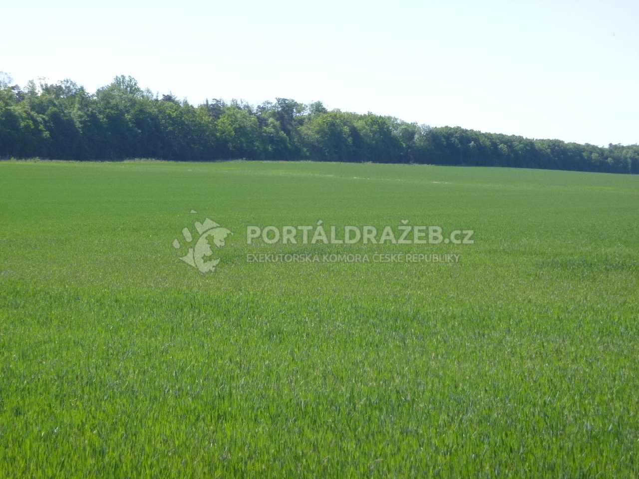 Podíl 1/4 na pozemku v k.ú. Blatnička, okr. Hodonín